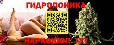 Альфа ПВП Новозыбков
