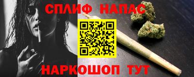Альфа ПВП Новозыбков