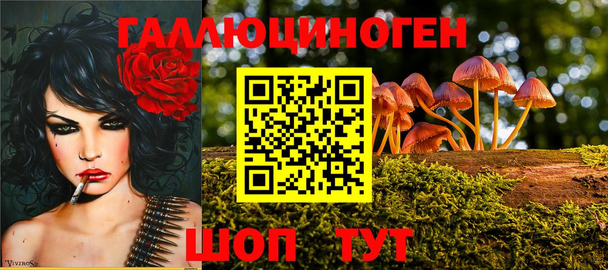 Галлюциногенные грибы Cubensis  наркота  Трёхгорный  Вход с VPN 