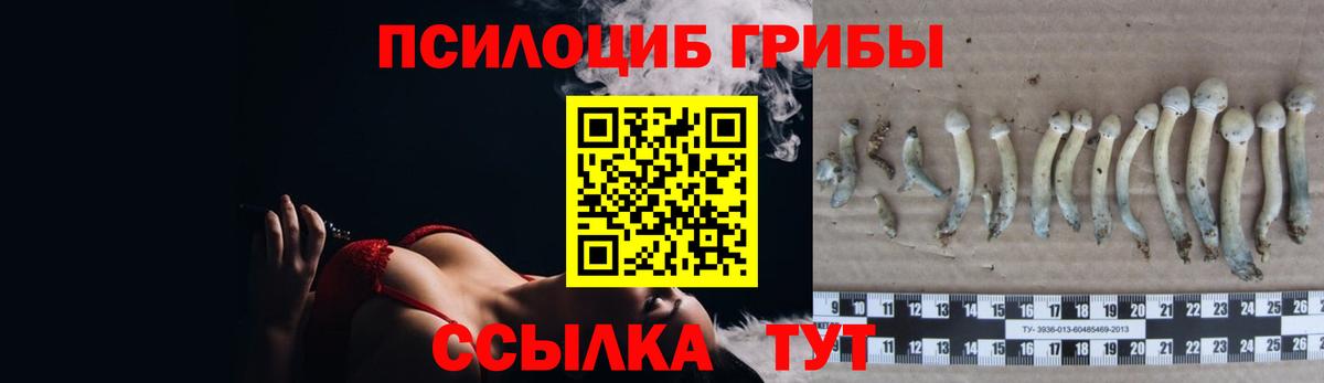 Галлюциногенные грибы Cubensis Трёхгорный